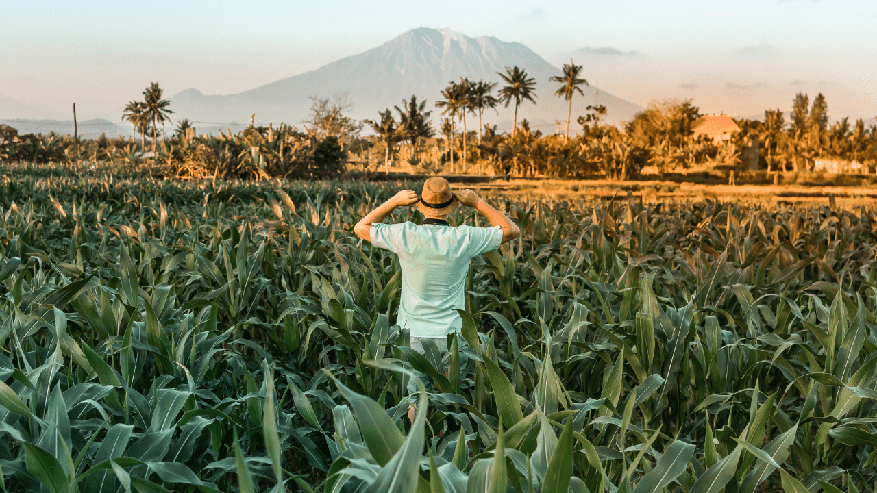 Wisatawan milenial berkunjung Bali