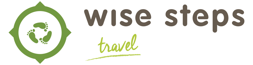 wise steps travel logo