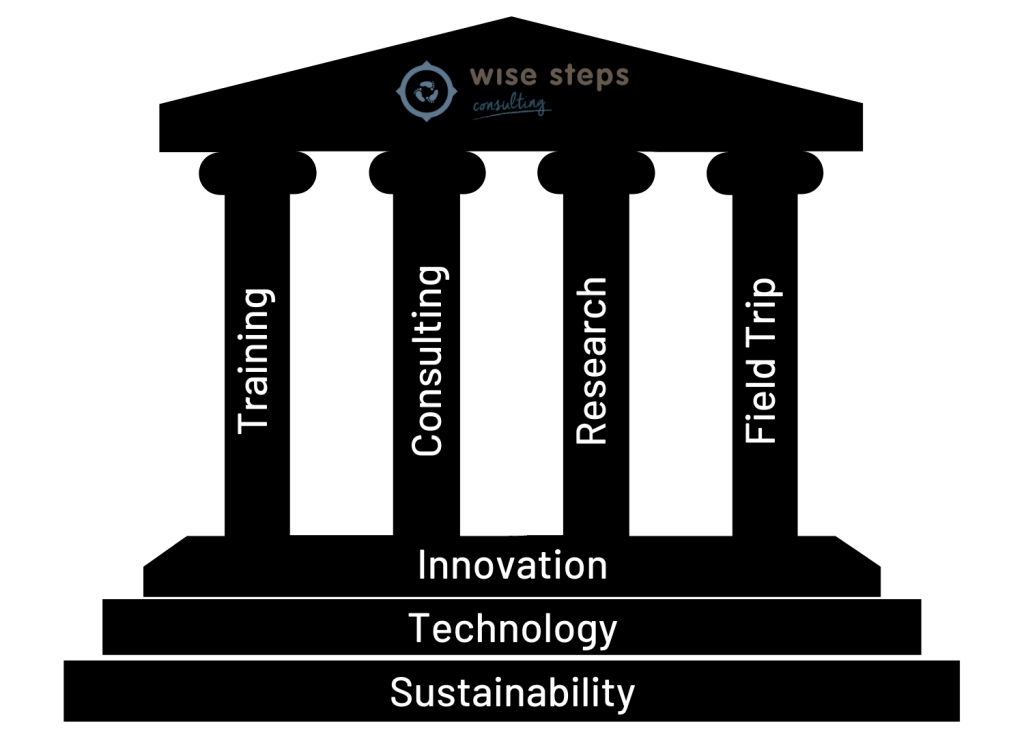 What we do - Wise Steps Consulting