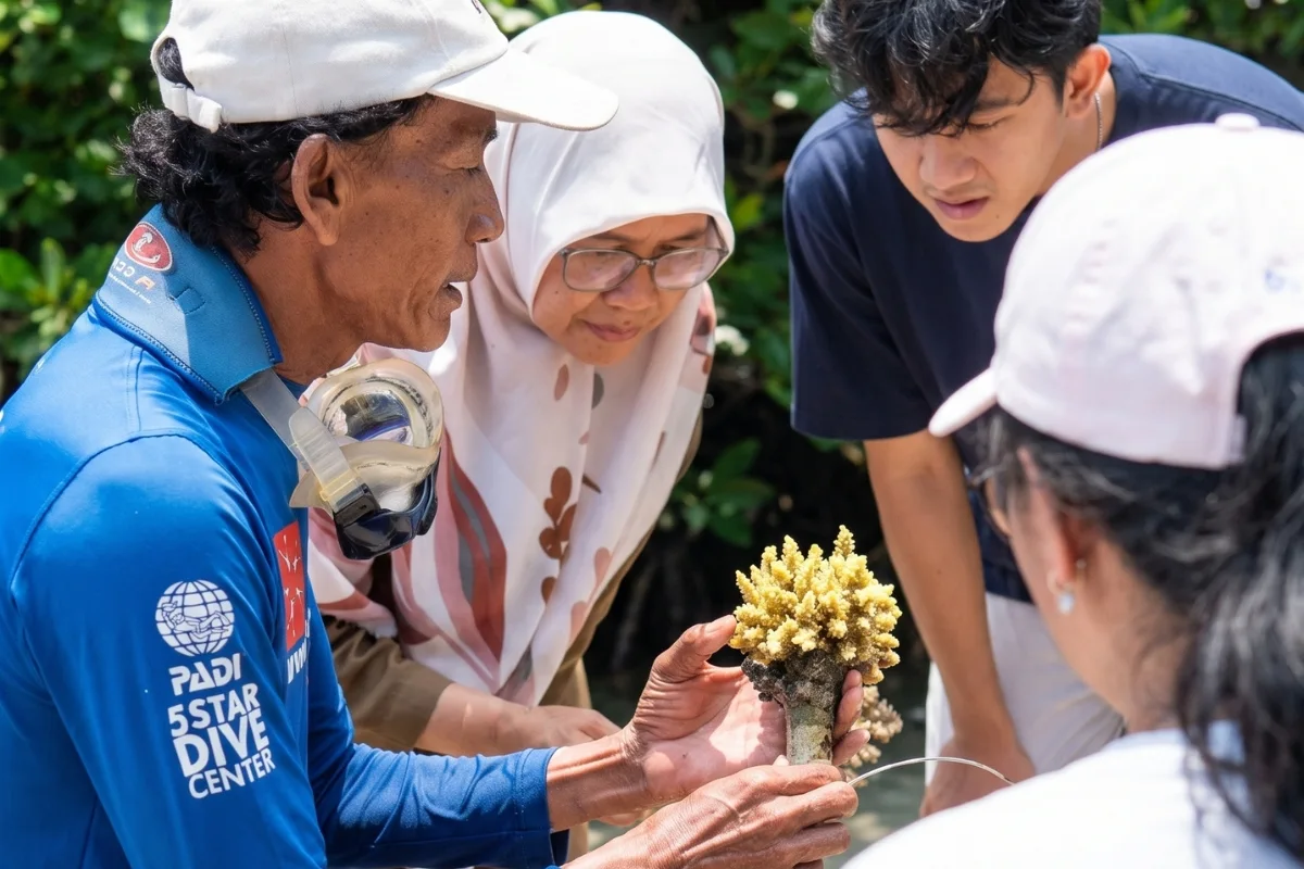 Pariwisata Regeneratif: Konsep, Praktik, dan Perdebatannya Pariwisata Regenerative - Coral Planting