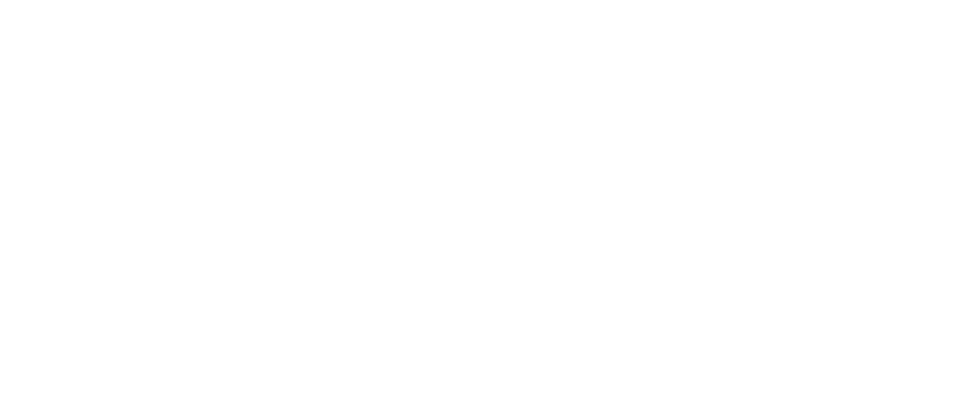 Control Union - White Logo